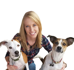 Pet boarding